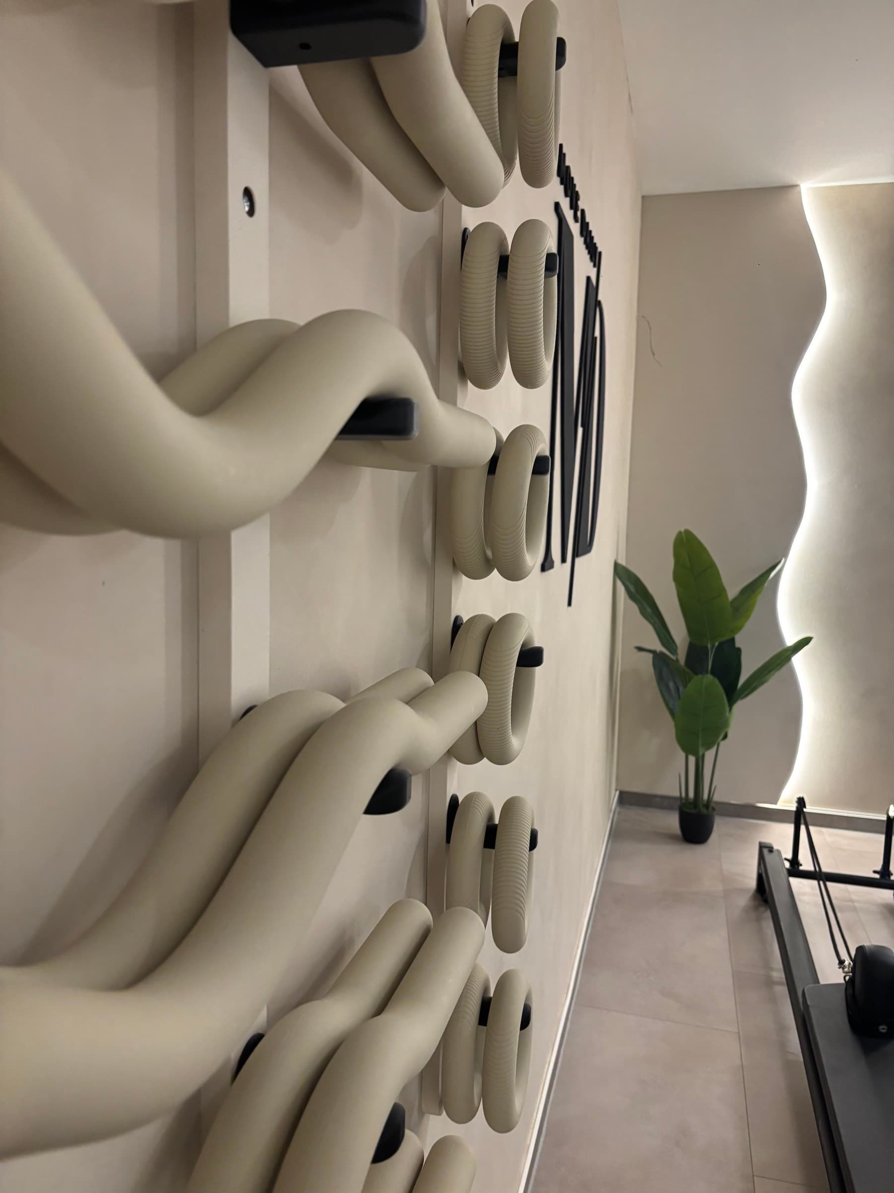 Inside the Move Daily MD studio — sculpted wave wall and reformer