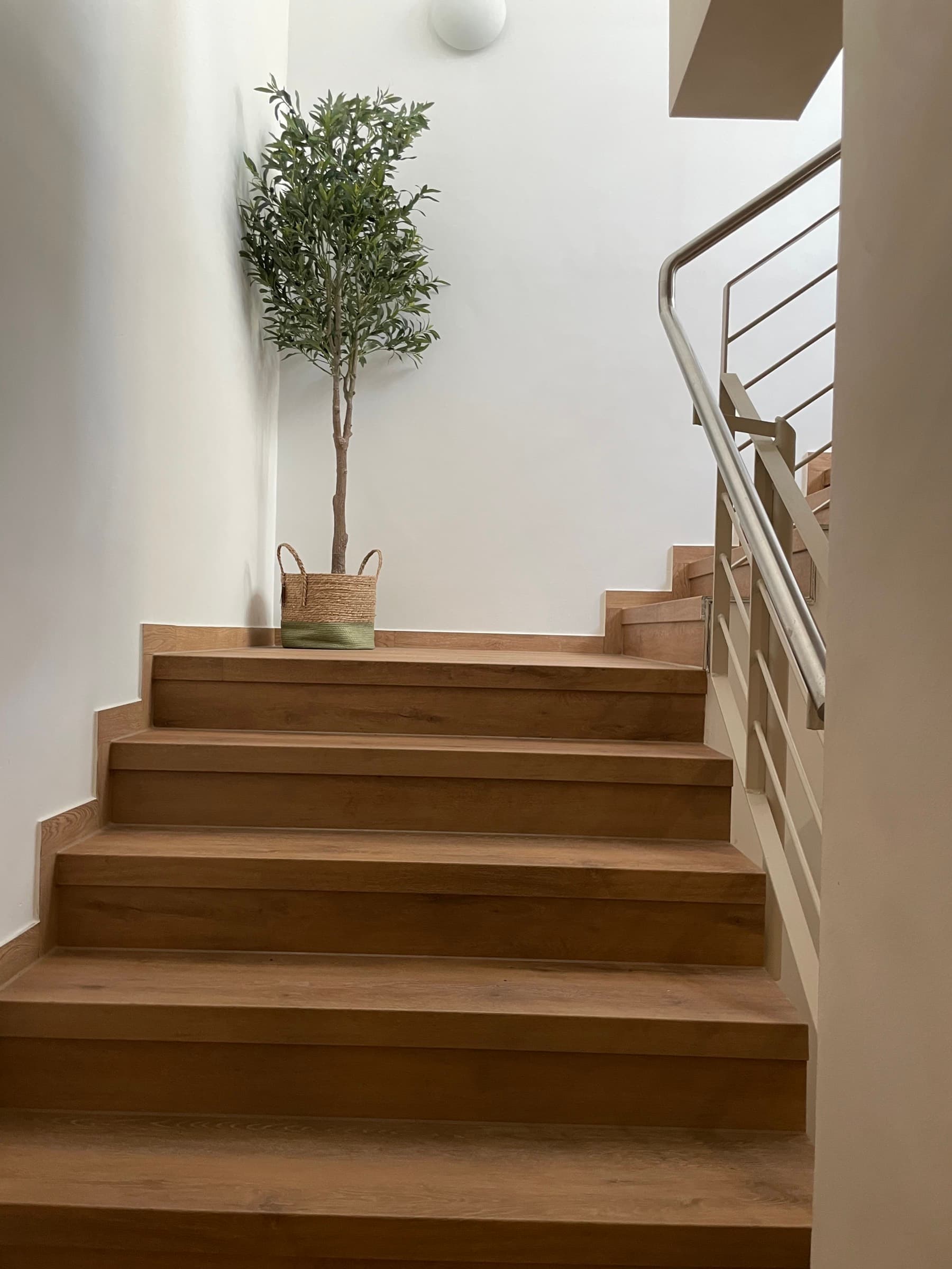 Oak staircase with olive tree